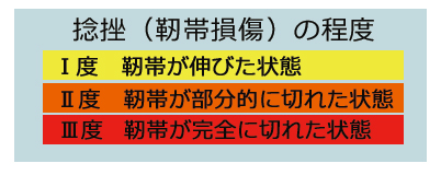 捻挫程度
